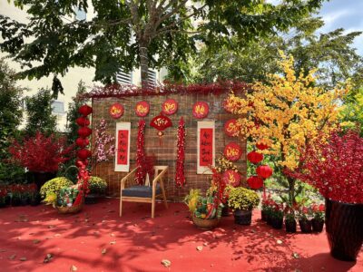 Tại khu đô thị An Phú Center Point không khí xuân rộn ràng với sắc màu hoa đỏ vàng được bày trí ở khắp các khu vực tại dự án với phố đi bộ đèn lồng, khu check in rực rỡ8